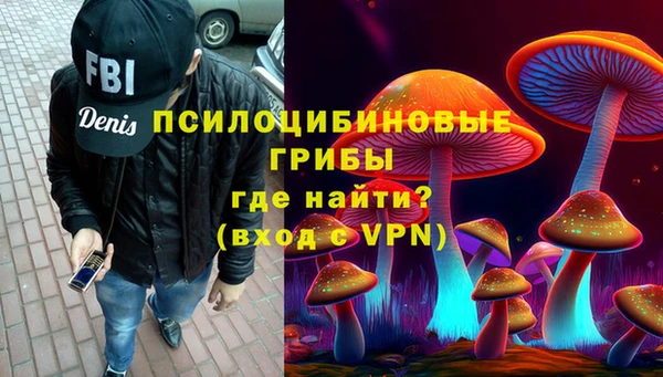 PSILOCYBIN Волоколамск