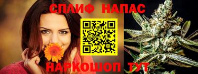 прущие грибы Гатчина