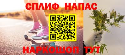 эйфоретик Гай