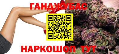 прущие грибы Гатчина
