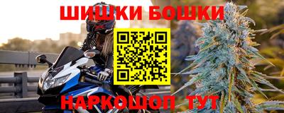 прущие грибы Гатчина