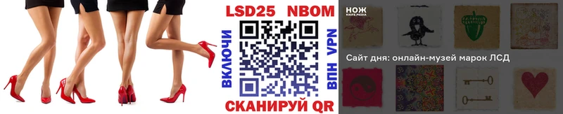 купить наркоту  Каменск-Шахтинский  Наркотические марки 1,5мг 