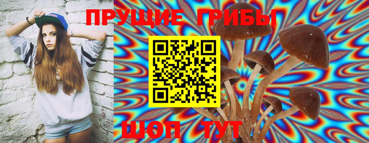 купить закладку  Вход с VPN  Каменск-Шахтинский  Галлюциногенные грибы Psilocybine cubensis  Галлюциногенные грибы ЛСД 